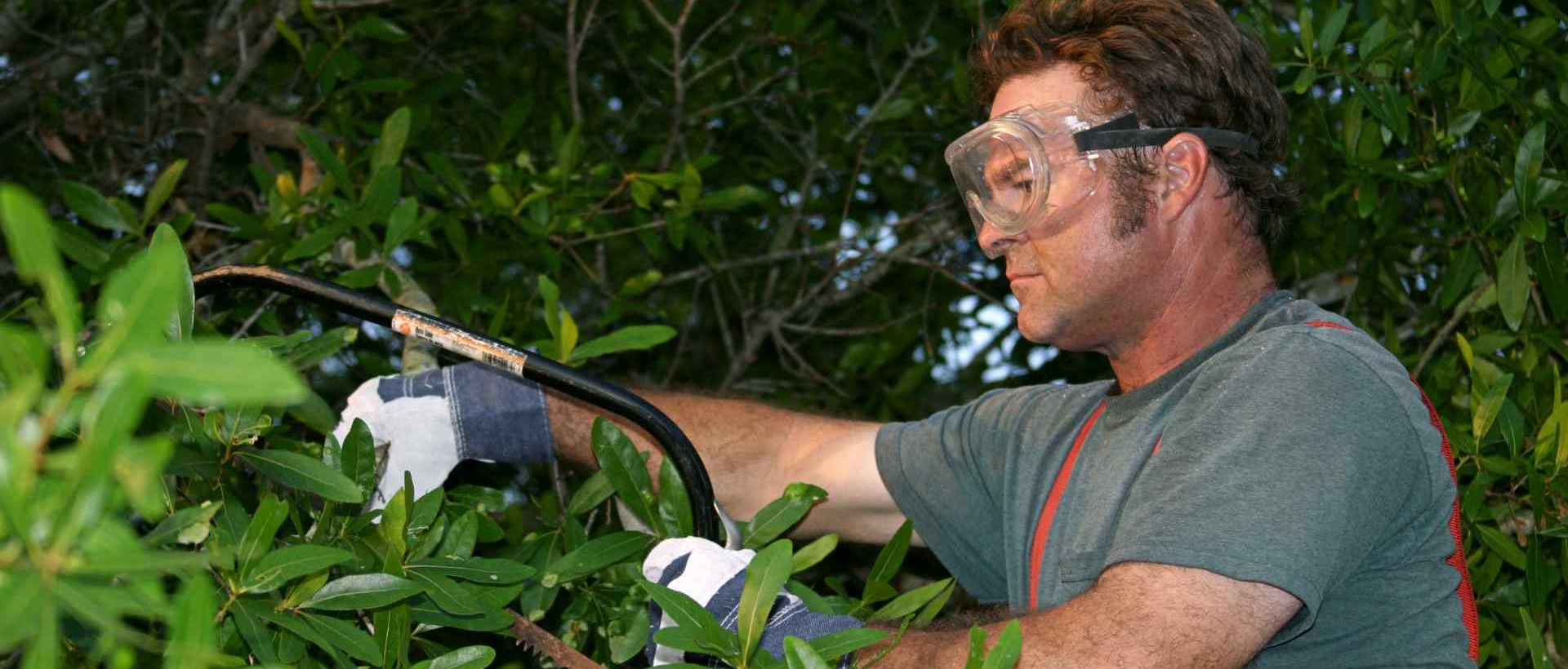 garden clearance CR7